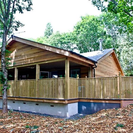 Cedar Lodge, South View Lodges, Έξετερ Εξωτερικό φωτογραφία