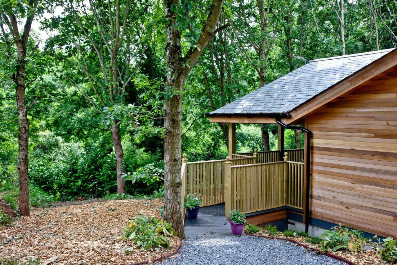 Cedar Lodge, South View Lodges, Έξετερ Εξωτερικό φωτογραφία