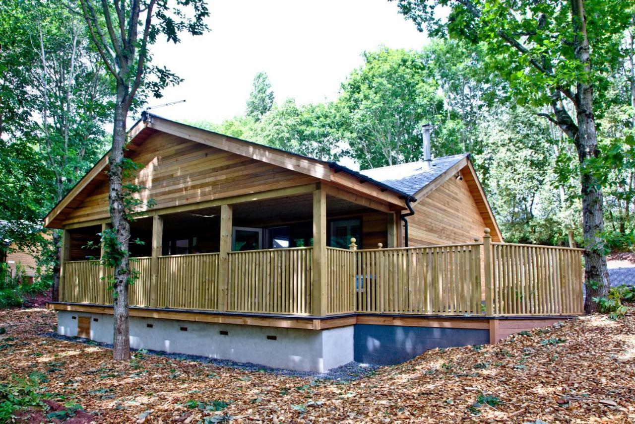 Cedar Lodge, South View Lodges, Έξετερ Εξωτερικό φωτογραφία